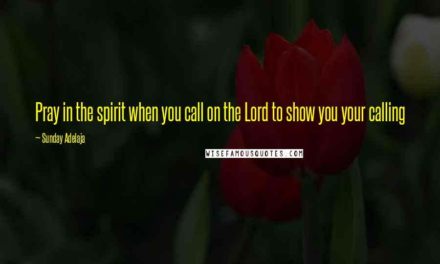 Sunday Adelaja Quotes: Pray in the spirit when you call on the Lord to show you your calling