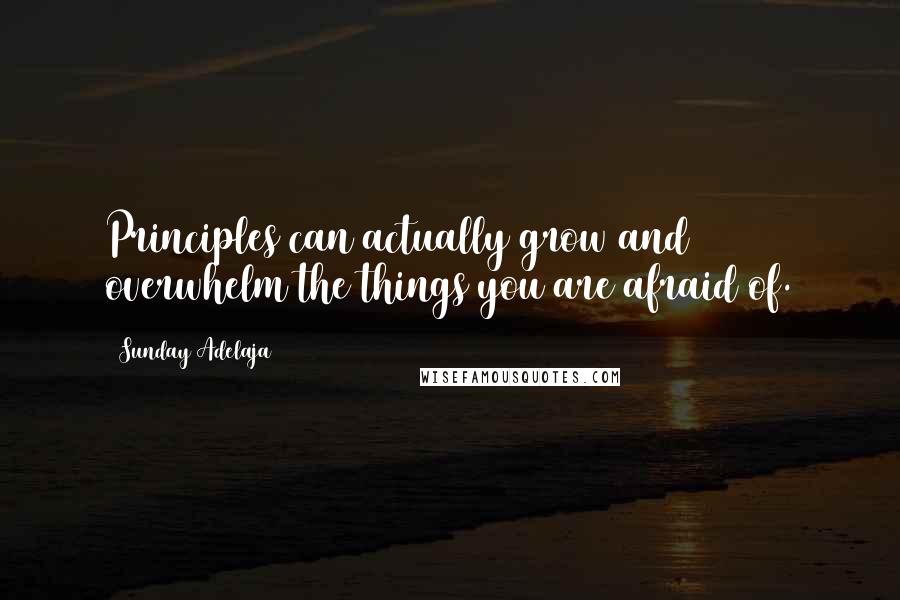 Sunday Adelaja Quotes: Principles can actually grow and overwhelm the things you are afraid of.