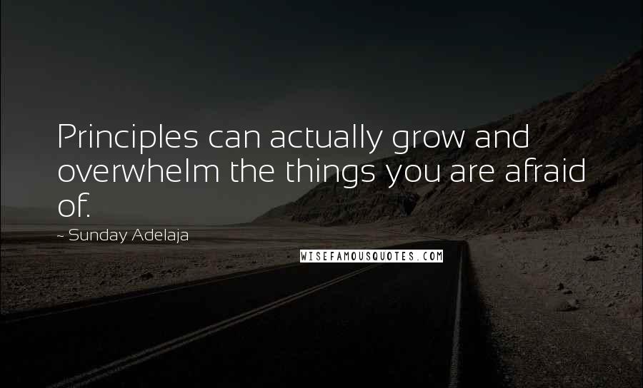 Sunday Adelaja Quotes: Principles can actually grow and overwhelm the things you are afraid of.