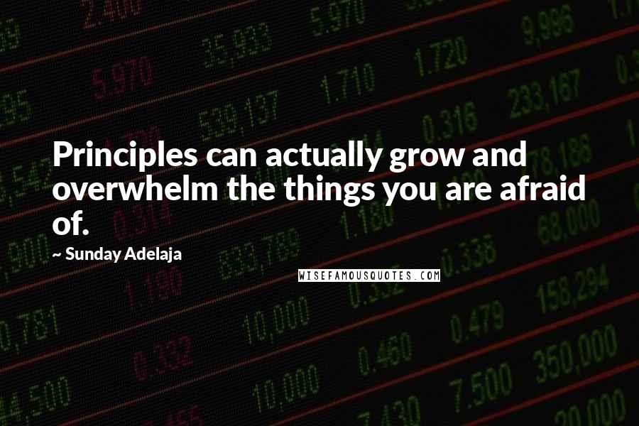 Sunday Adelaja Quotes: Principles can actually grow and overwhelm the things you are afraid of.