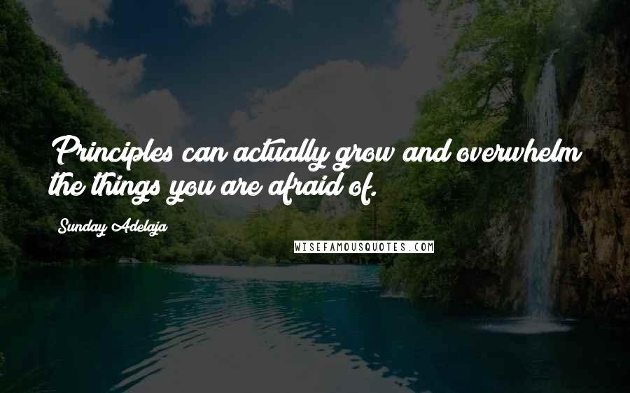 Sunday Adelaja Quotes: Principles can actually grow and overwhelm the things you are afraid of.