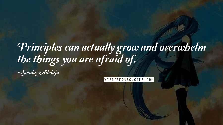 Sunday Adelaja Quotes: Principles can actually grow and overwhelm the things you are afraid of.