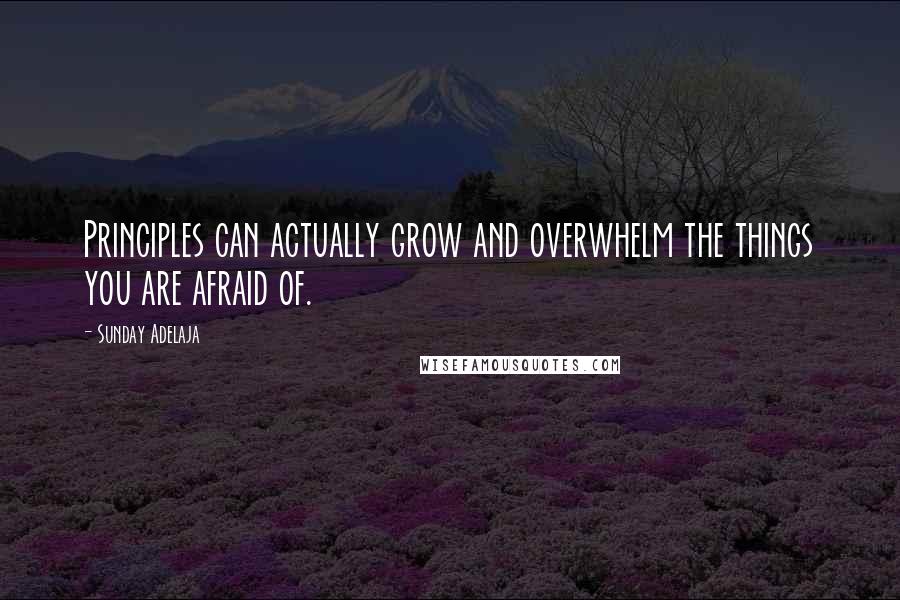 Sunday Adelaja Quotes: Principles can actually grow and overwhelm the things you are afraid of.