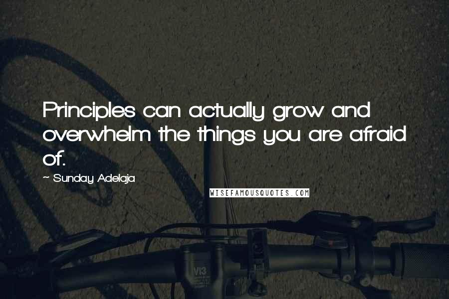 Sunday Adelaja Quotes: Principles can actually grow and overwhelm the things you are afraid of.