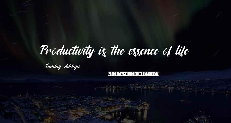 Sunday Adelaja Quotes: Productivity is the essence of life