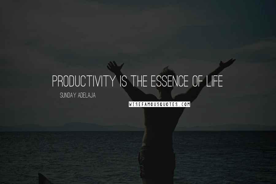 Sunday Adelaja Quotes: Productivity is the essence of life