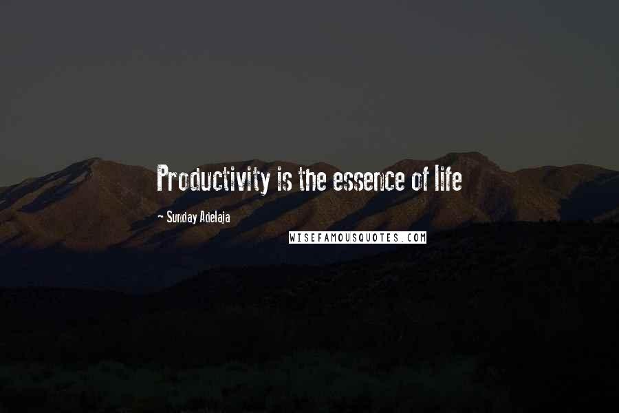 Sunday Adelaja Quotes: Productivity is the essence of life