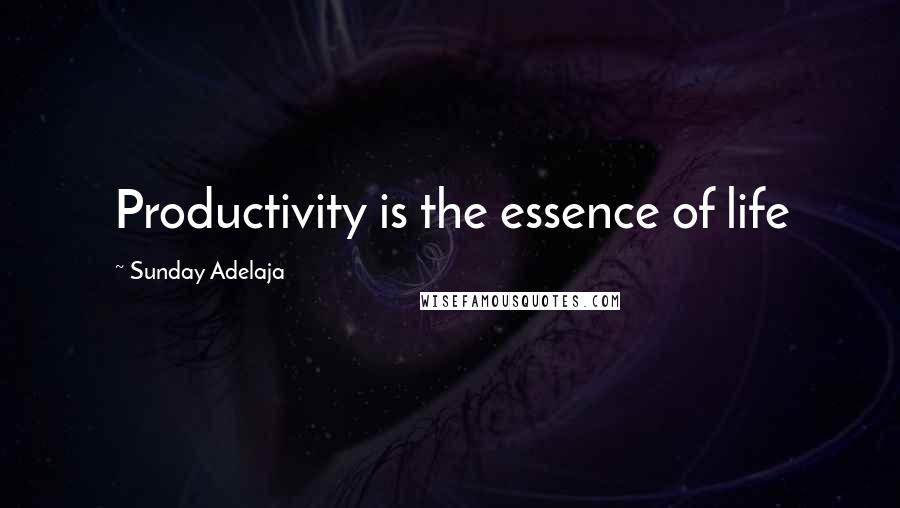 Sunday Adelaja Quotes: Productivity is the essence of life