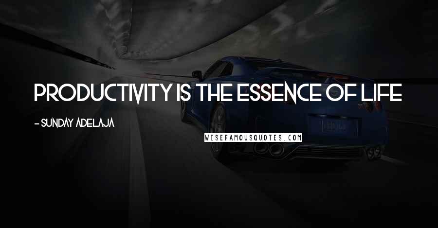 Sunday Adelaja Quotes: Productivity is the essence of life