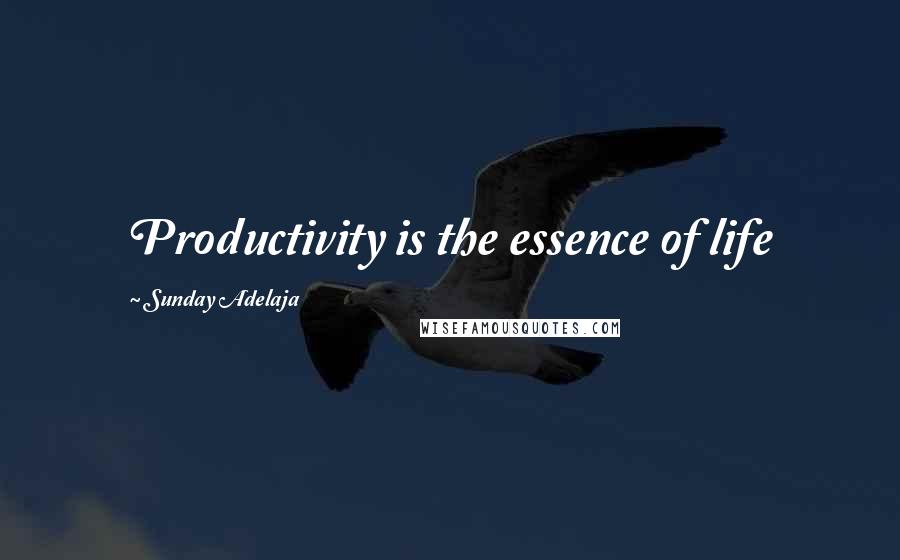 Sunday Adelaja Quotes: Productivity is the essence of life