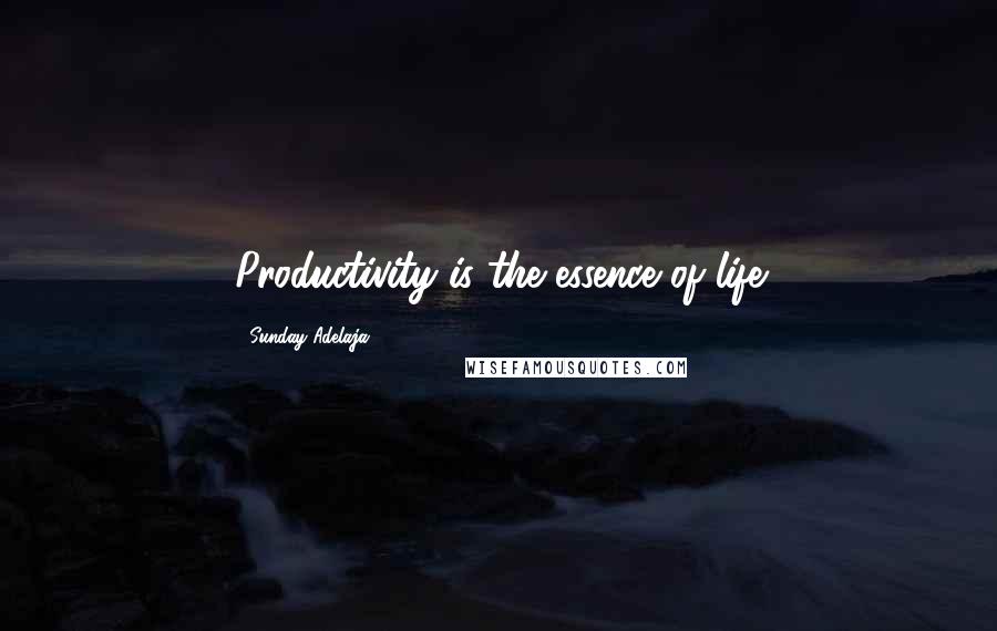 Sunday Adelaja Quotes: Productivity is the essence of life