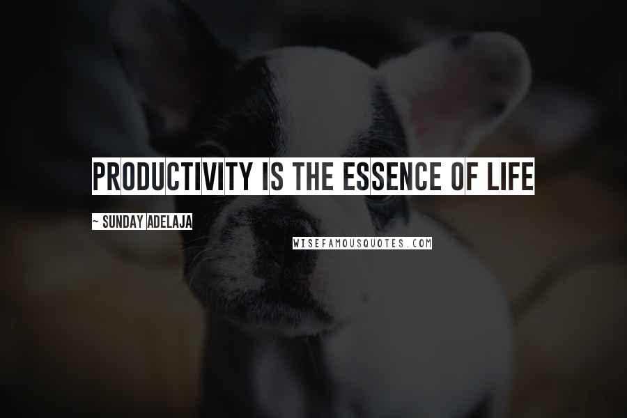 Sunday Adelaja Quotes: Productivity is the essence of life