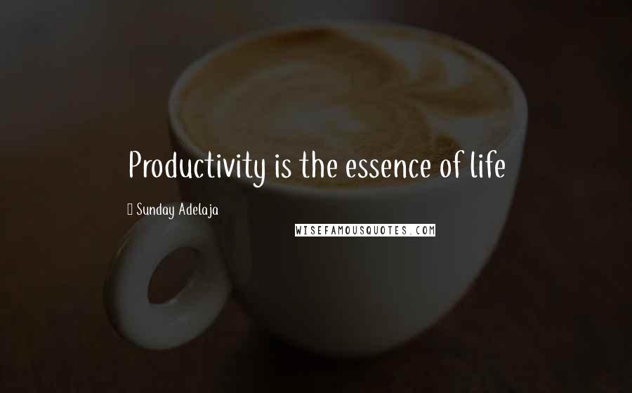 Sunday Adelaja Quotes: Productivity is the essence of life