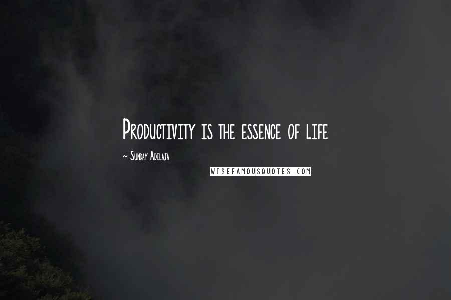 Sunday Adelaja Quotes: Productivity is the essence of life