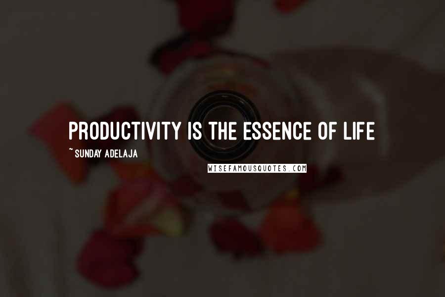 Sunday Adelaja Quotes: Productivity is the essence of life