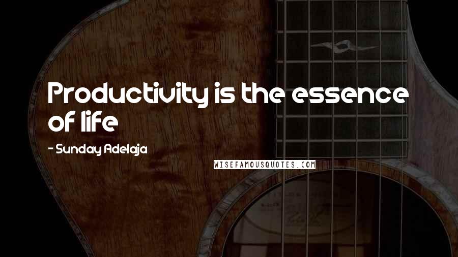 Sunday Adelaja Quotes: Productivity is the essence of life