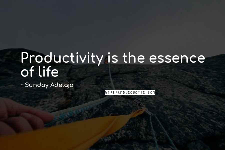 Sunday Adelaja Quotes: Productivity is the essence of life