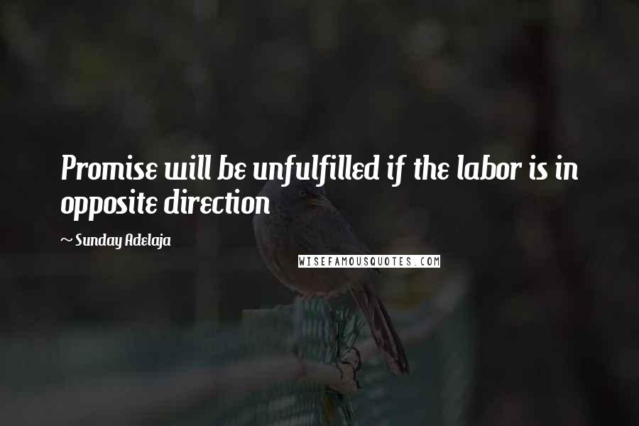 Sunday Adelaja Quotes: Promise will be unfulfilled if the labor is in opposite direction