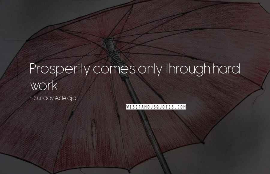 Sunday Adelaja Quotes: Prosperity comes only through hard work