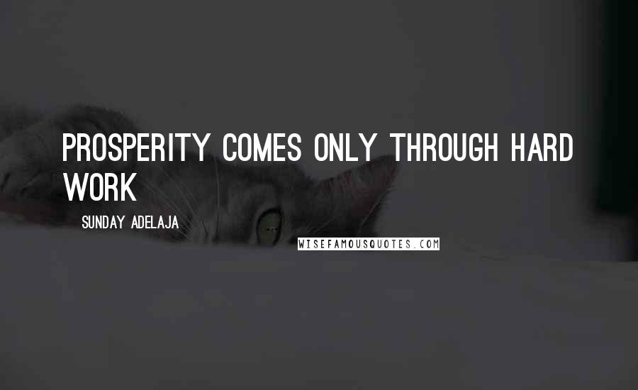 Sunday Adelaja Quotes: Prosperity comes only through hard work