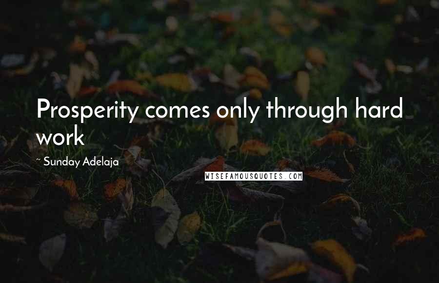 Sunday Adelaja Quotes: Prosperity comes only through hard work