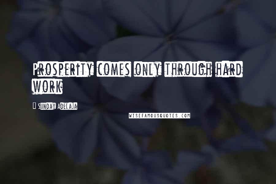 Sunday Adelaja Quotes: Prosperity comes only through hard work