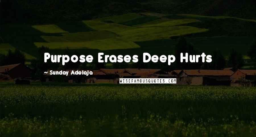 Sunday Adelaja Quotes: Purpose Erases Deep Hurts