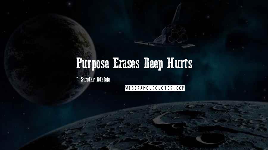 Sunday Adelaja Quotes: Purpose Erases Deep Hurts