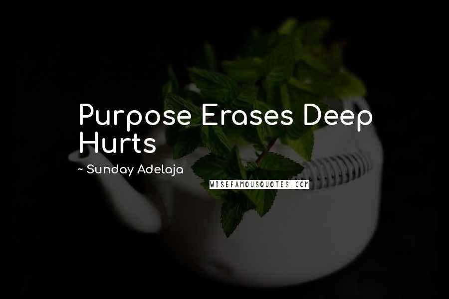 Sunday Adelaja Quotes: Purpose Erases Deep Hurts