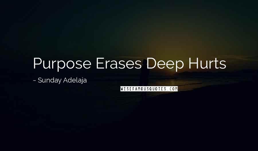 Sunday Adelaja Quotes: Purpose Erases Deep Hurts