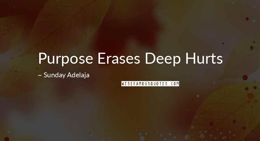 Sunday Adelaja Quotes: Purpose Erases Deep Hurts