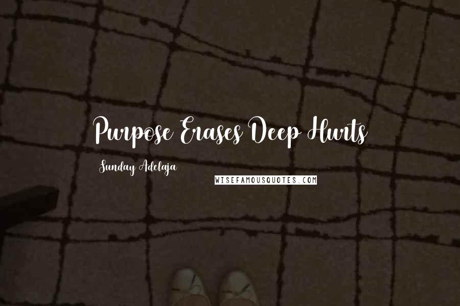 Sunday Adelaja Quotes: Purpose Erases Deep Hurts