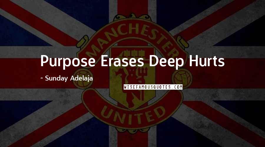 Sunday Adelaja Quotes: Purpose Erases Deep Hurts