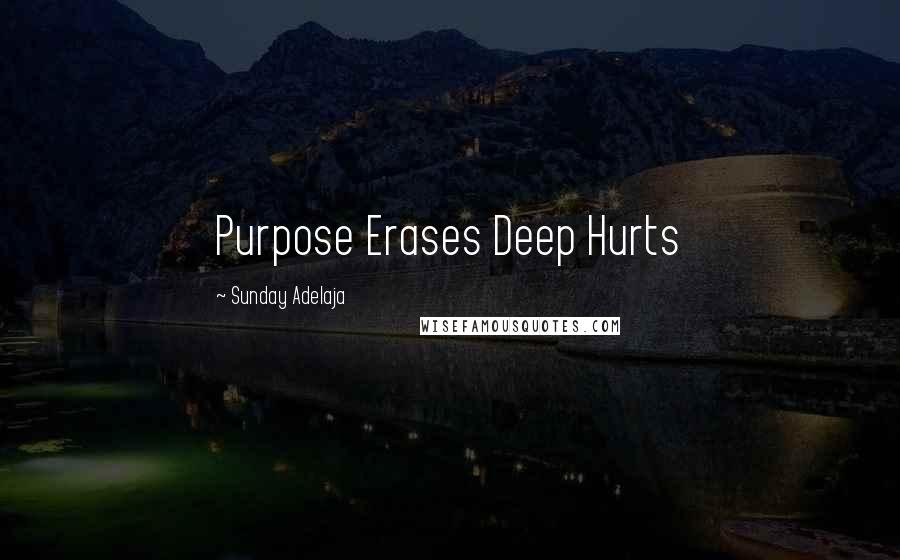 Sunday Adelaja Quotes: Purpose Erases Deep Hurts