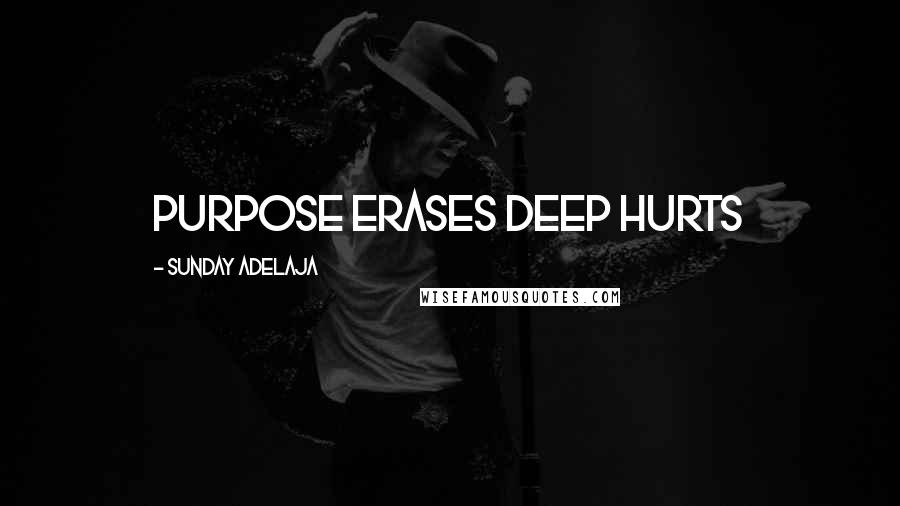 Sunday Adelaja Quotes: Purpose Erases Deep Hurts