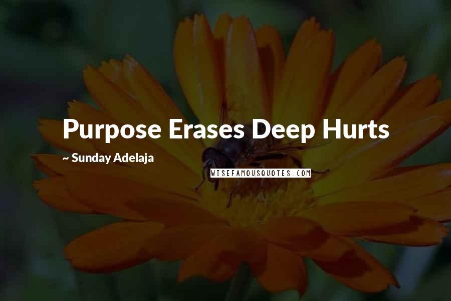 Sunday Adelaja Quotes: Purpose Erases Deep Hurts