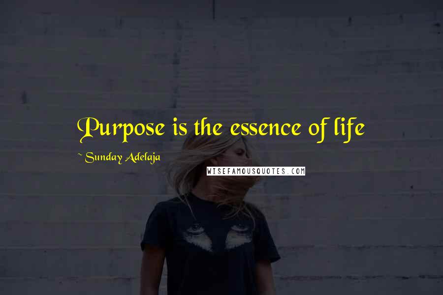 Sunday Adelaja Quotes: Purpose is the essence of life