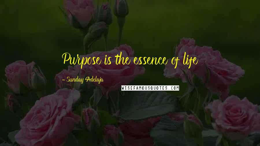 Sunday Adelaja Quotes: Purpose is the essence of life