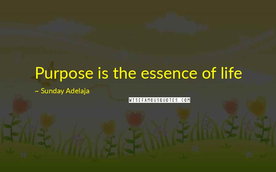 Sunday Adelaja Quotes: Purpose is the essence of life