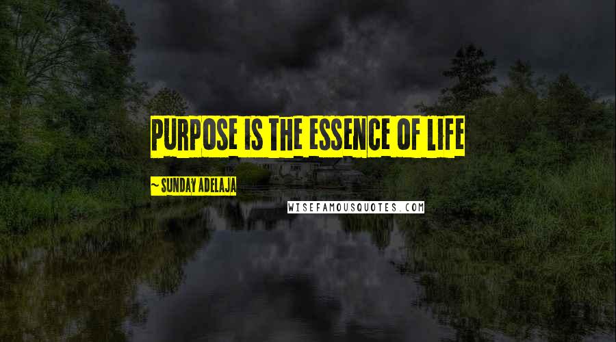 Sunday Adelaja Quotes: Purpose is the essence of life