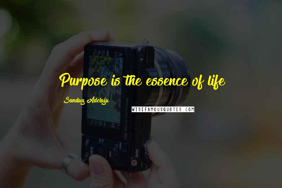 Sunday Adelaja Quotes: Purpose is the essence of life