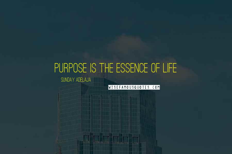 Sunday Adelaja Quotes: Purpose is the essence of life