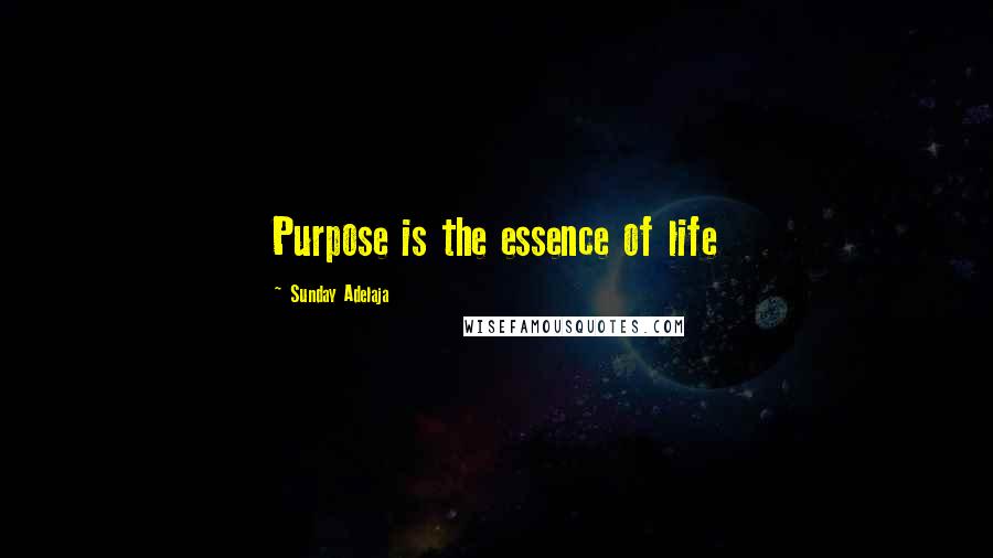 Sunday Adelaja Quotes: Purpose is the essence of life