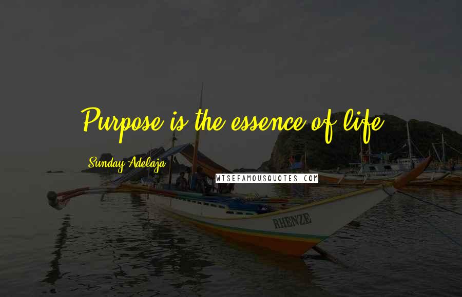 Sunday Adelaja Quotes: Purpose is the essence of life