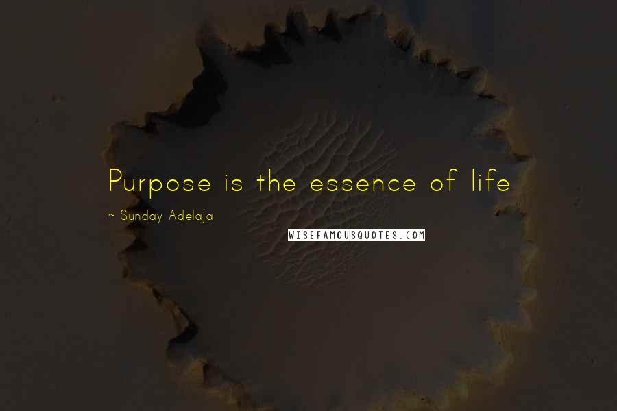 Sunday Adelaja Quotes: Purpose is the essence of life