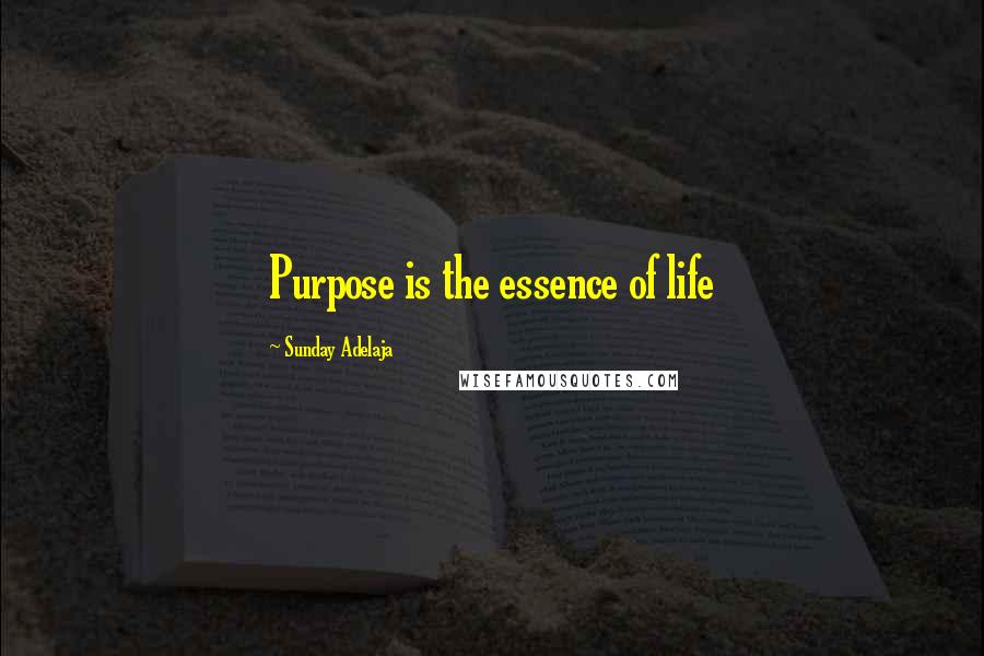 Sunday Adelaja Quotes: Purpose is the essence of life