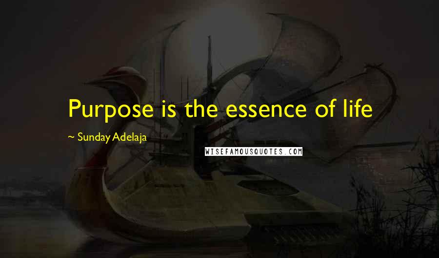 Sunday Adelaja Quotes: Purpose is the essence of life