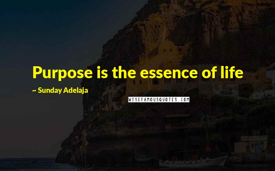 Sunday Adelaja Quotes: Purpose is the essence of life