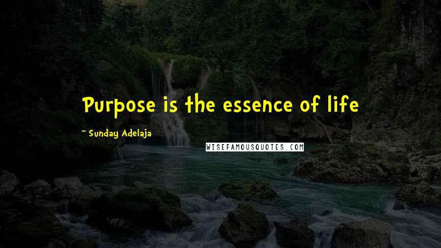 Sunday Adelaja Quotes: Purpose is the essence of life