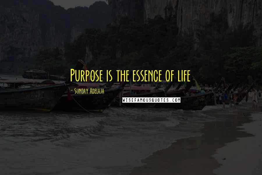 Sunday Adelaja Quotes: Purpose is the essence of life